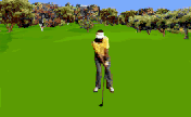 Golfer_Swinging.gif (33799 bytes)