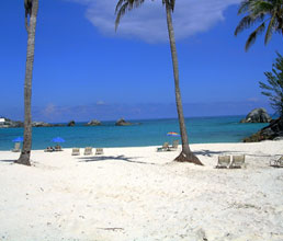 bermuda_Mbeach.jpg









































































































            (14088 bytes)